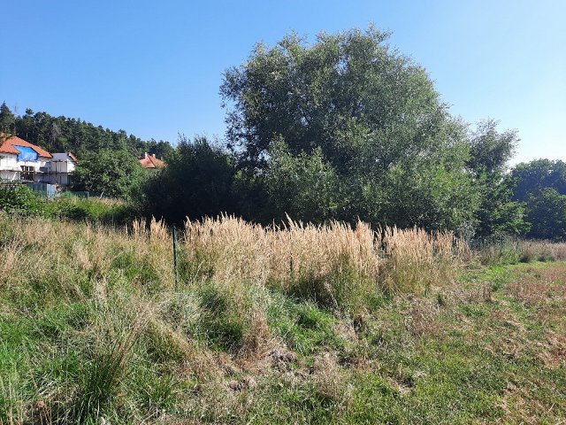 Obr: 14367.jpg