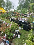 Obr: 5610.jpg