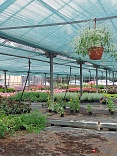 Obr: 5674.jpg