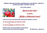 Obr: 5731.jpg